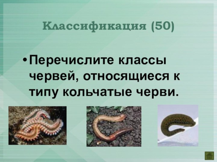 Перечислите классы червей, относящиеся к типу кольчатые черви.Классификация (50)