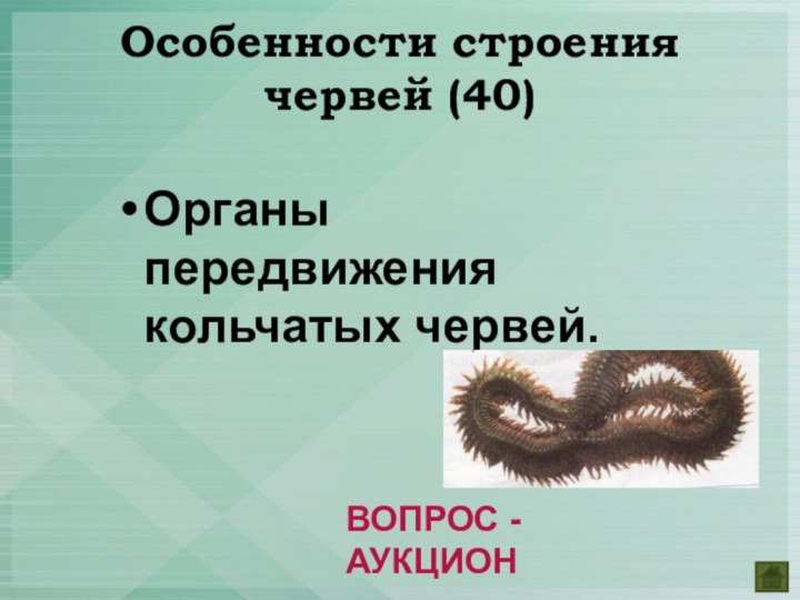 Органы передвижения кольчатых червей.Особенности строения червей (40)ВОПРОС - АУКЦИОН
