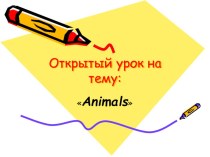 Презентация открытого урока на тему: Животные