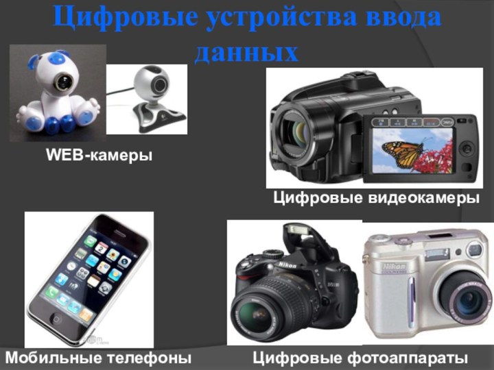 Цифровые устройства ввода данныхWEB-камерыМобильные телефоныЦифровые фотоаппаратыЦифровые видеокамеры