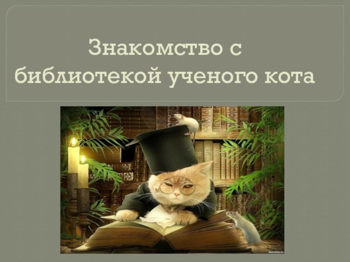 Знакомство с библиотекой ученого кота