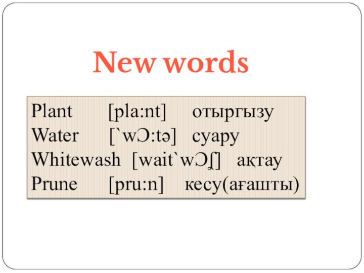 New wordsPlant    [pla:nt]   отыргызуWater   [`wƆ:tә]
