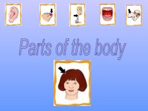 Parts of the body презентация