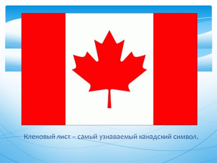 Кленовый лист – самый узнаваемый канадский символ.