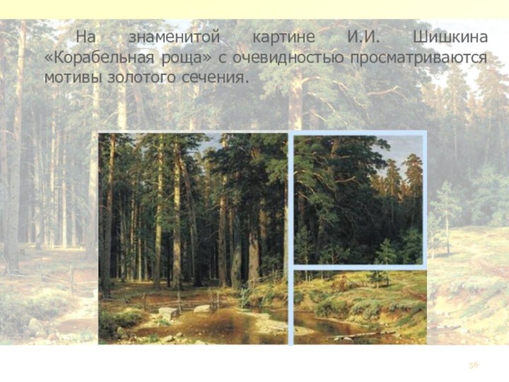 На знаменитой картине И.И. Шишкина «Корабельная роща» с очевидностью просматриваются мотивы золотого сечения.