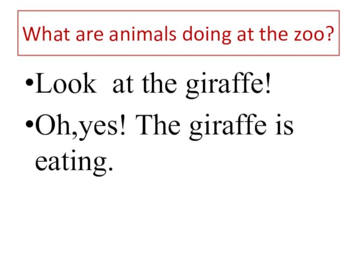 What are animals doing at the zoo?Look at the giraffe!Oh,yes! The giraffe is eating.
