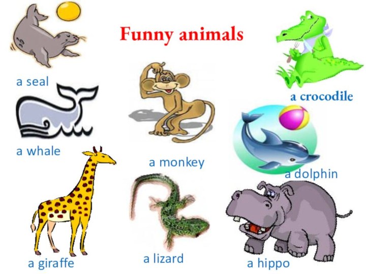 Funny animalsa whalea crocodile a lizarda hippoa dolphina giraffea monkeya seal