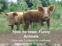 Презентация для внеклассного занятия по английскому языку на тему funny animals