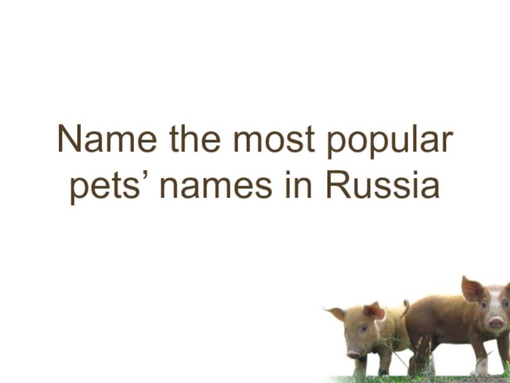 Name the most popular pets’ names in Russia