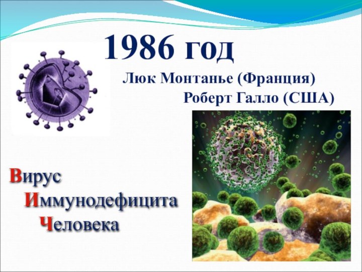 Вирус   Иммунодефицита    Человека1986 год