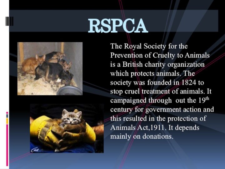 The Royal Society for the Prevention of Cruelty to Animals is a