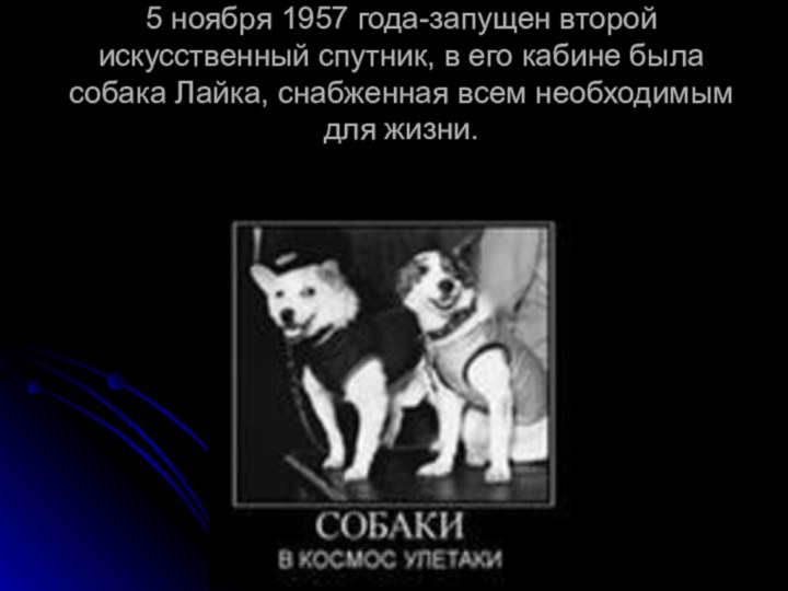 5 ноября 1957 года-запущен второй искусственный спутник, в его кабине была собака