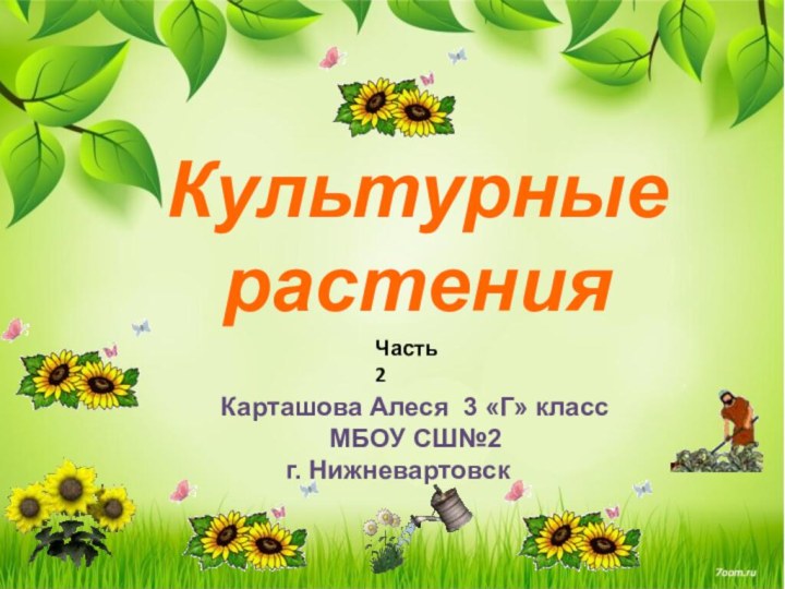 Культурные растенияКарташова Алеся 3 «Г» класс