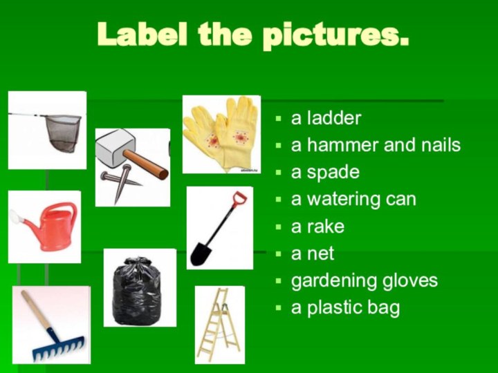 Label the pictures.a laddera hammer and nailsa spadea watering cana rakea netgardening glovesa plastic bag