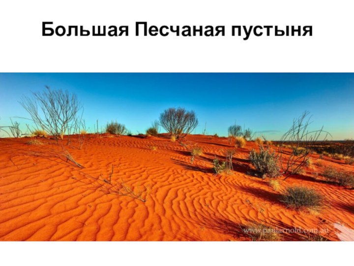 Большая Песчаная пустыня