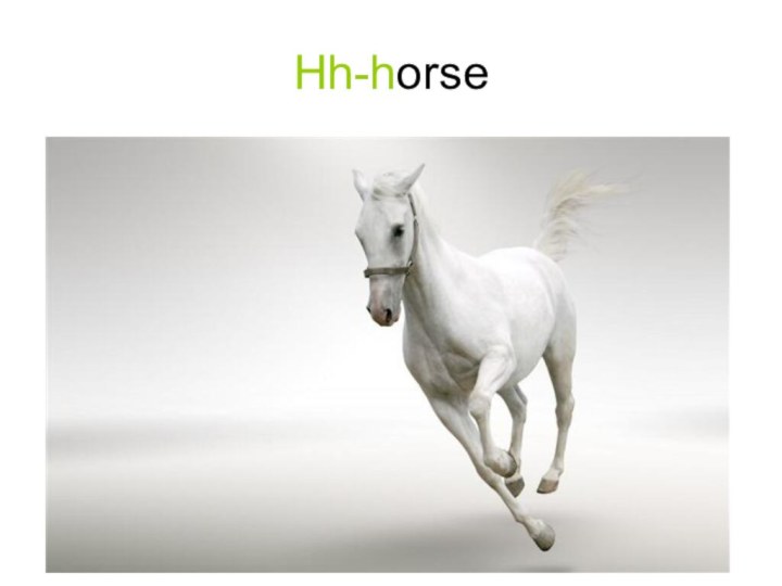 Hh-horse