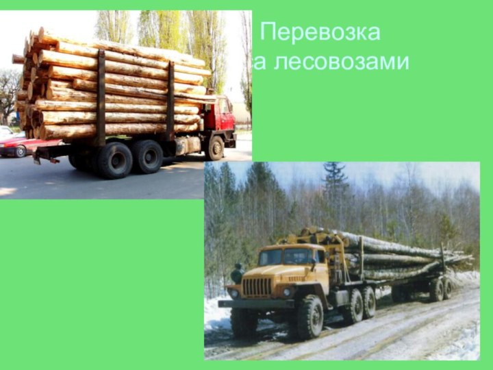 Перевозка 				 леса лесовозами