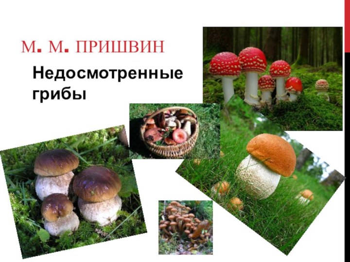 М. м. ПришвинНедосмотренные грибы