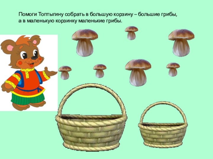 Помоги Топтыгину собрать в большую корзину – большие грибы, а в маленькую корзинку маленькие грибы.