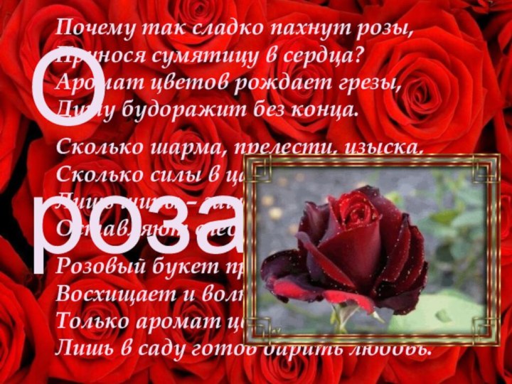 Почему так сладко пахнут розы,Принося сумятицу в сердца?Аромат цветов рождает грезы,Душу будоражит