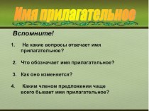 Презентация по русскому языку на тему Имя прилагательное (6 класс)