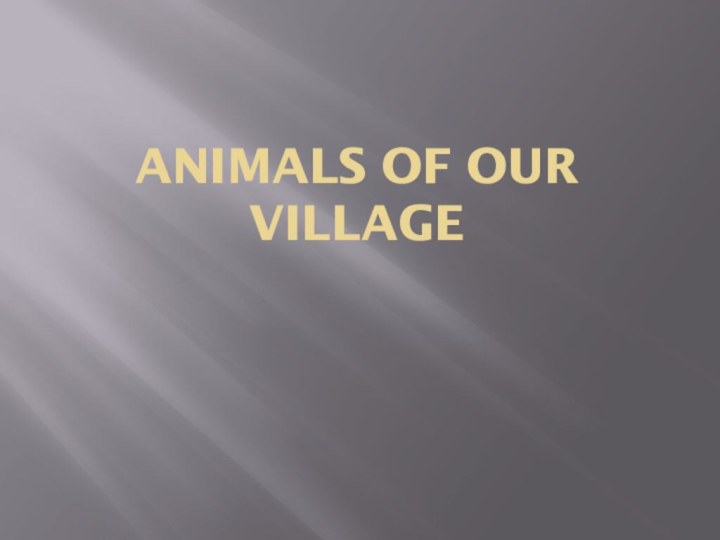 Animals of our village