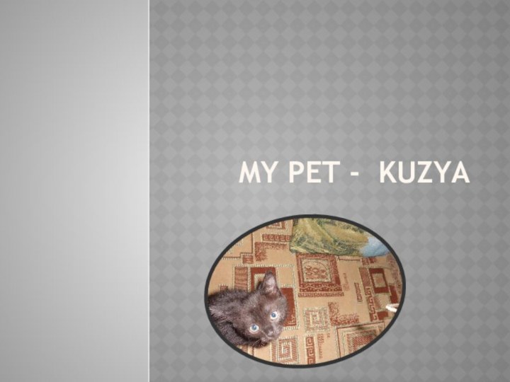 My pet - Kuzya