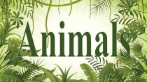 Презентация к уроку английского языка на тему животные