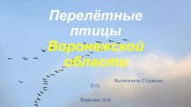 Презентация по ознакомлению с окружающим миром на тему : Перелетные птицы Воронежской области