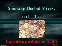 Презентация Smoking Herbal Mixes:harmless pastime or evil?