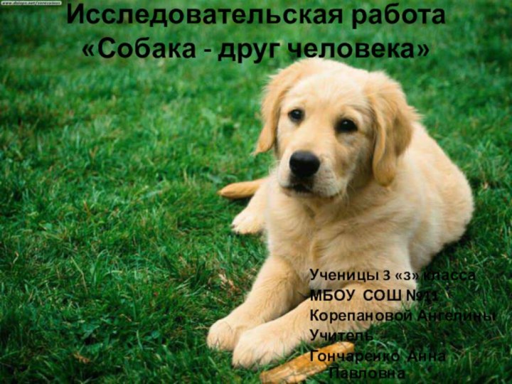 Исследовательская работа  «Собака - друг человека» Ученицы 3 «з» классаМБОУ СОШ