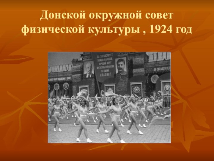 Донской окружной совет физической культуры , 1924 год