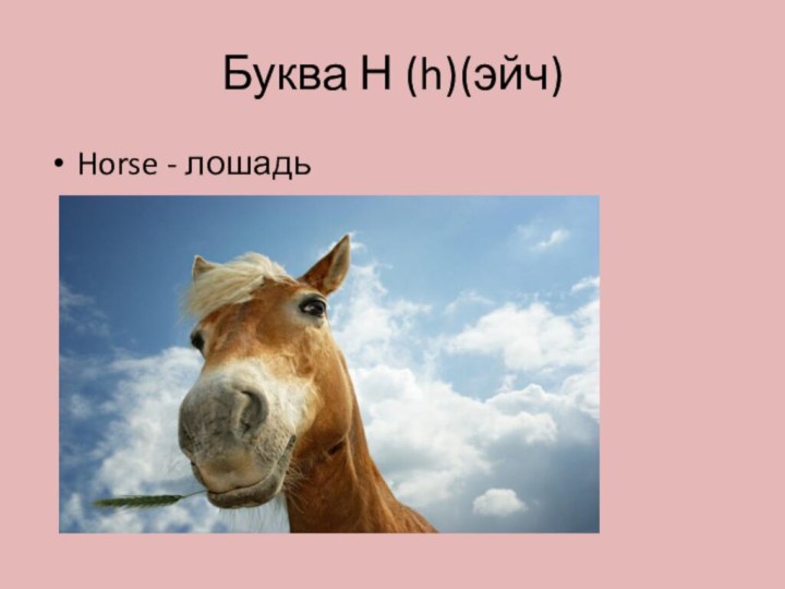 Буква Н (h)(эйч)Horse - лошадь