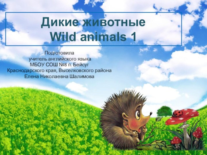 Дикие животные Wild animals 1Подготовила учитель английского языкаМБОУ СОШ №8 п. БейсугКраснодарского