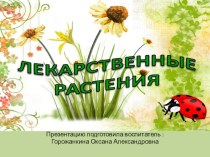 Презентация для дошкольников Лекарственные растения