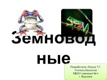 Презентация по биологии на тему Класс Земноводные (7-8)