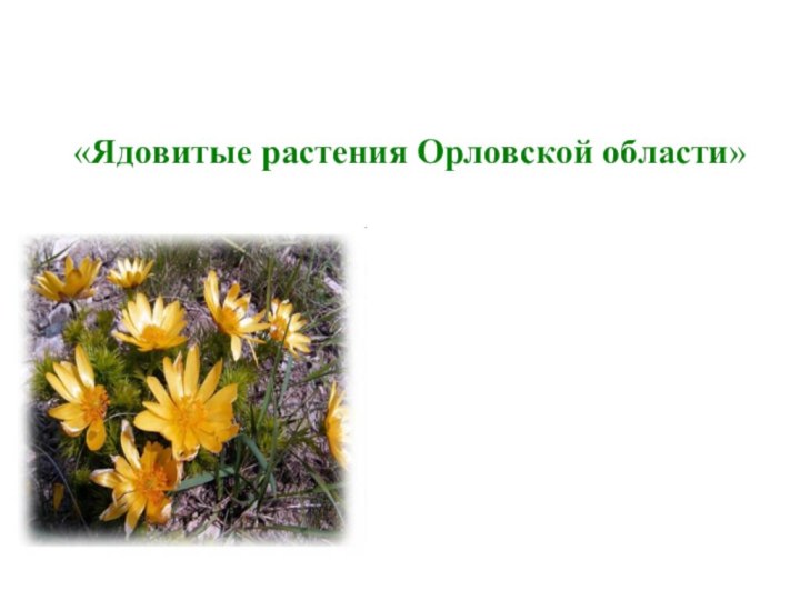 «Ядовитые растения Орловской области»