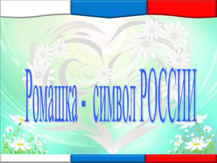 Ромашка - символ РОССИИ