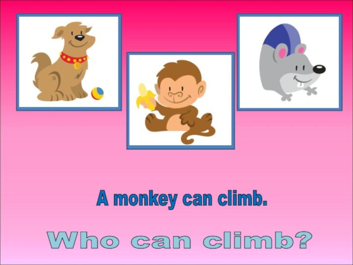 Who can climb? A monkey can climb.