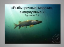 Презентация Рыбы аквариумные, речные. морские.