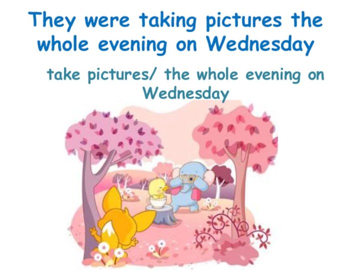 take pictures/ the whole evening on WednesdayThey were taking pictures the whole evening on Wednesday
