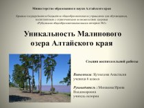 Презентация Уникальность Малинового озера.