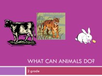 Презентация What can animals do? 2 grade