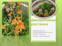 Презентация по природоведению Декоративные и лекарственные растения( 5 класс )