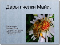Презентация по теме:Дары пчелки Майи