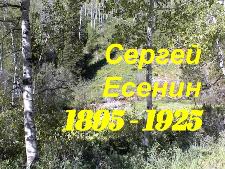 Сергей Есенин 1895 - 1925