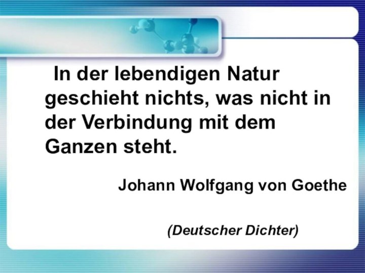 Johann Wolfgang von Goethe    (Deutscher Dichter)  In der