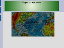 Презентация по географии 6 класс Саргассово море