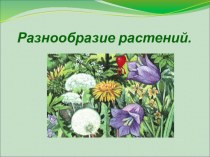 Презентация по окружающему миру разнообразие растений (3класс