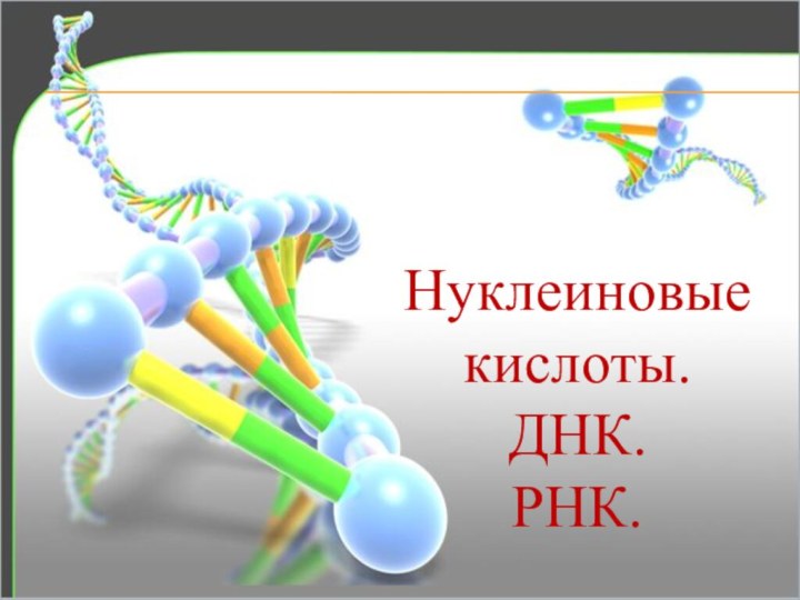 Нуклеиновые кислоты.ДНК.РНК.